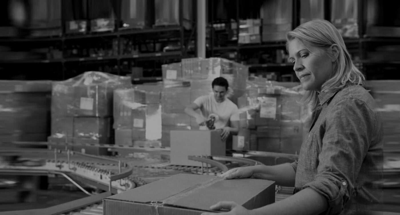netsuite suitecommerce suitesuccess partner consultants los angeles california training consulting netsuite wms warehouse 4 scaled