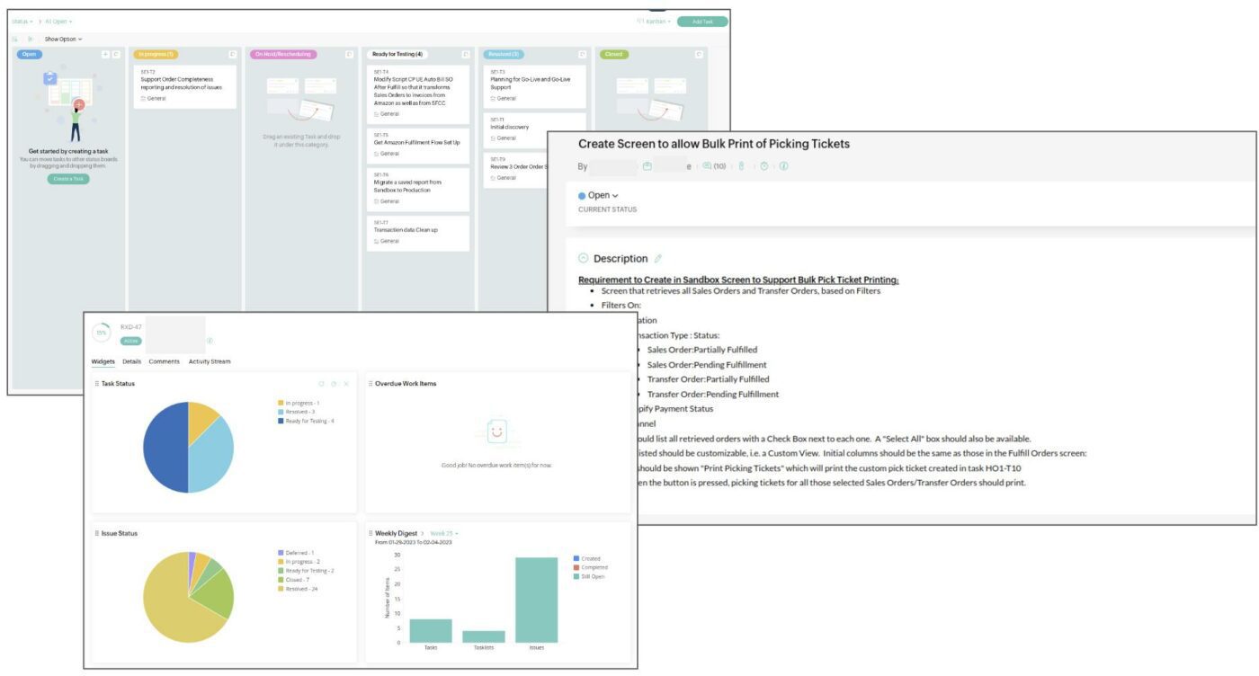 netsuite-consulting-services-retail-manufacturing-omnichannel-wholesale-manufacturing-los-angeles-california-task-issue-log RXD Systems NetSuite Consultants Issue Management System